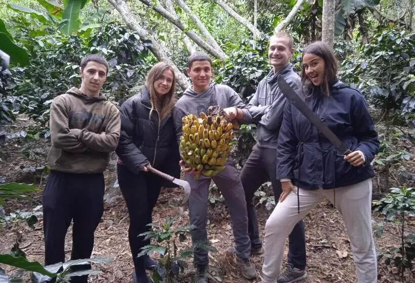 ユースホステル Lia B&b Lucmabamba