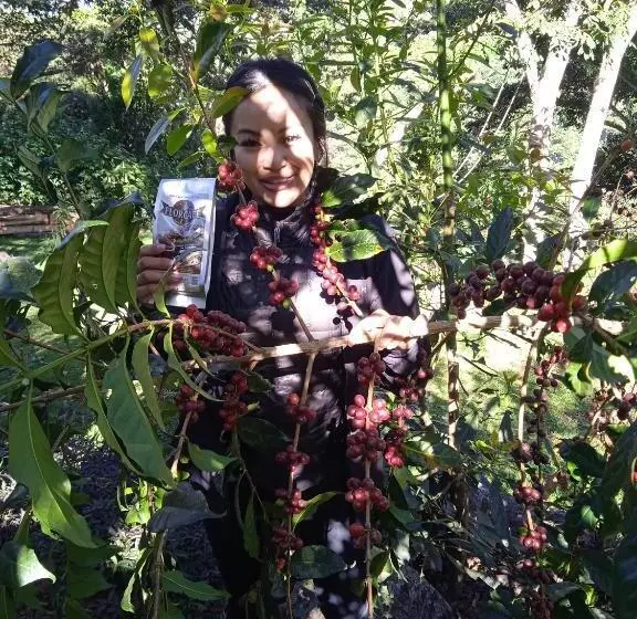 ユースホステル Lia B&b Lucmabamba