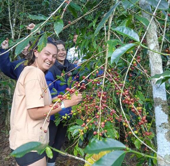 ユースホステル Lia B&b Lucmabamba