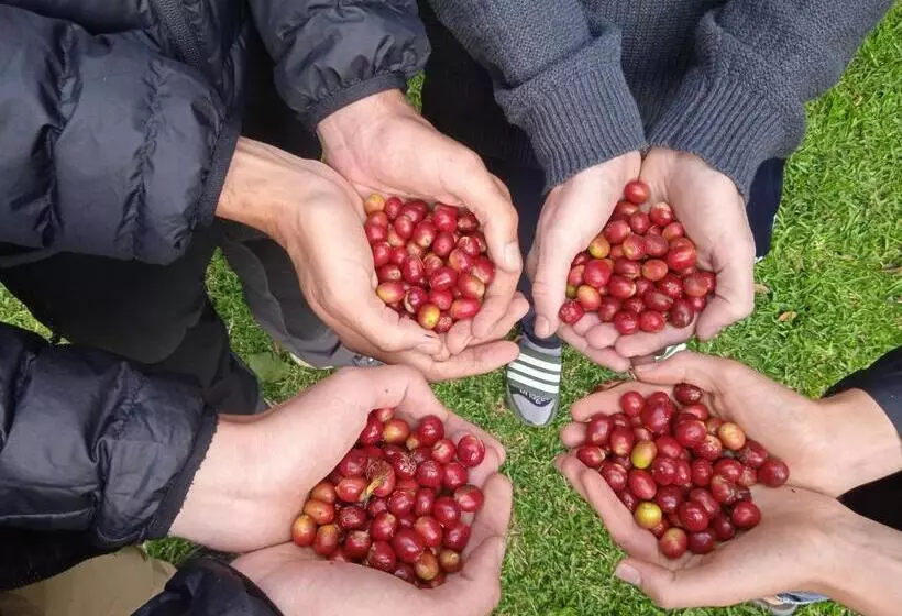 ユースホステル Lia B&b Lucmabamba