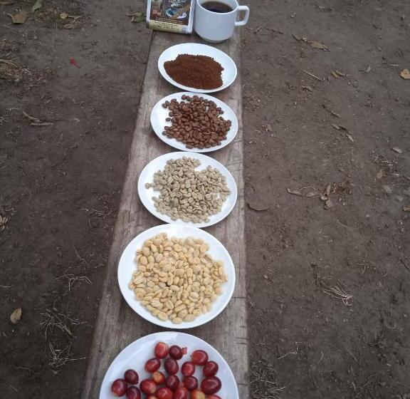 ユースホステル Lia B&b Lucmabamba