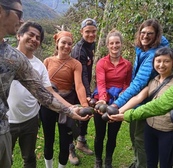 ユースホステル Lia B&b Lucmabamba