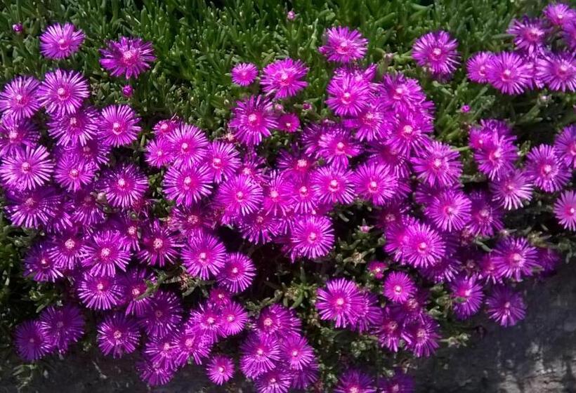 Bed and Breakfast Casa Torre