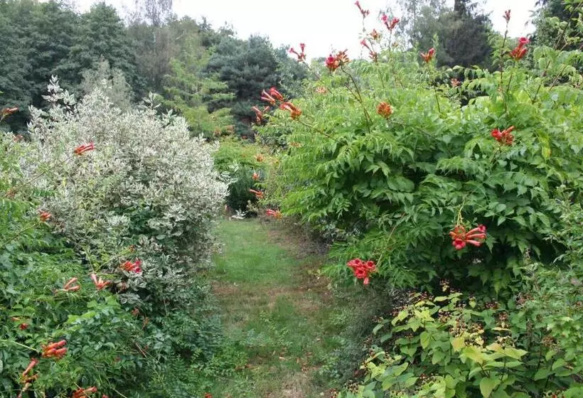 Aamiaismajoitus (B&B) Chambres D Hôtes La Landre