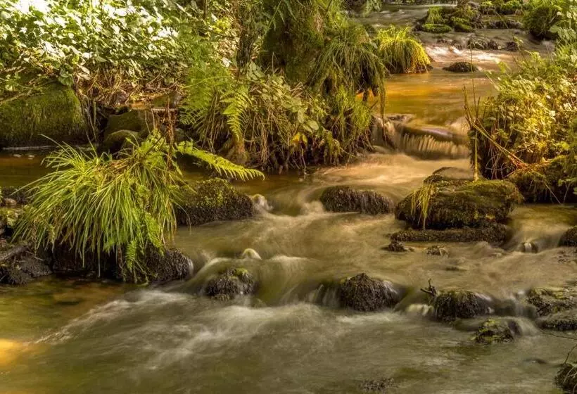 Aamiaismajoitus (B&B) Chambres D Hôtes La Landre