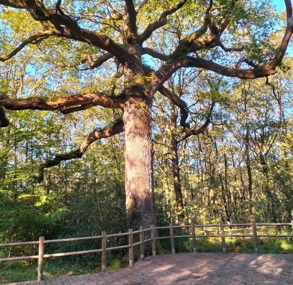 ベッドアンドブレックファースト Chez Cathy