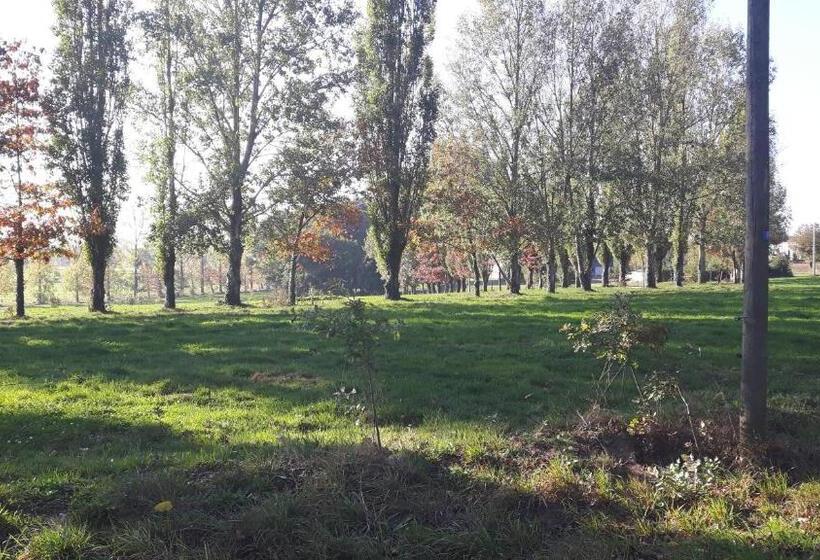 ベッドアンドブレックファースト Chez Cathy