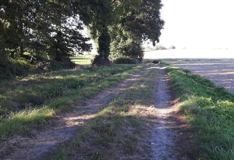 ベッドアンドブレックファースト Chez Cathy