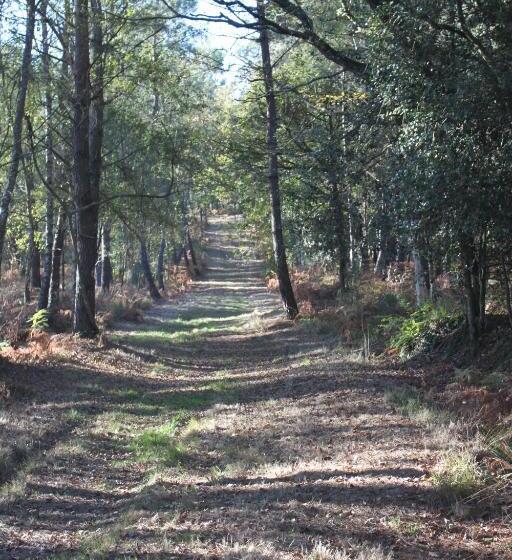 ベッドアンドブレックファースト Chez Cathy