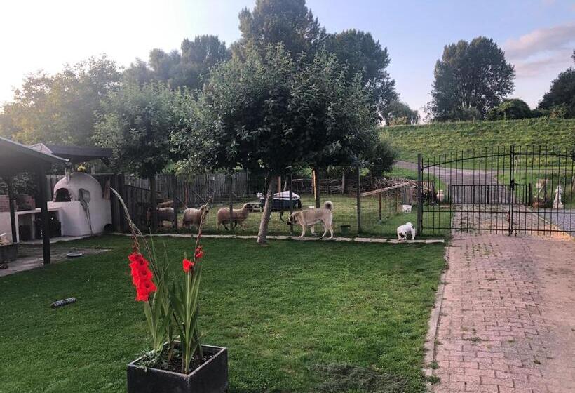 민박 De Oude Schuur