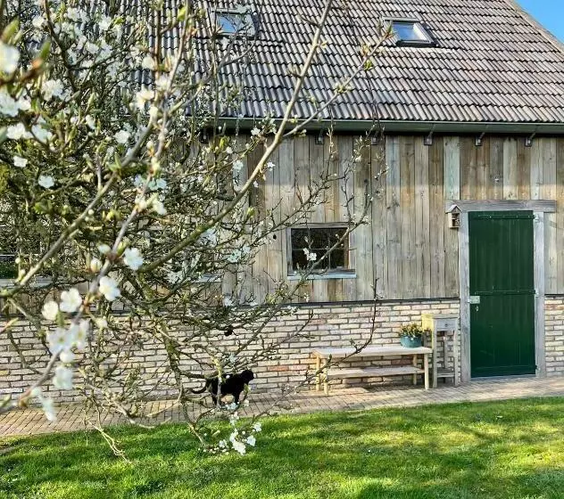 Aamiaismajoitus (B&B) Hústerheide