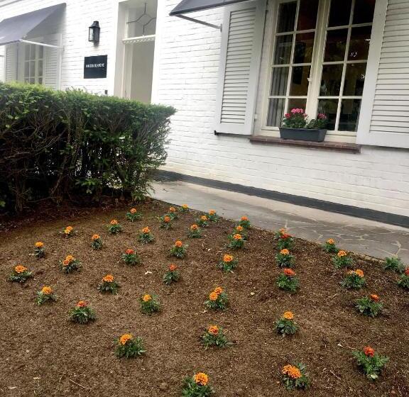 住宿加早餐 Maison Blanche