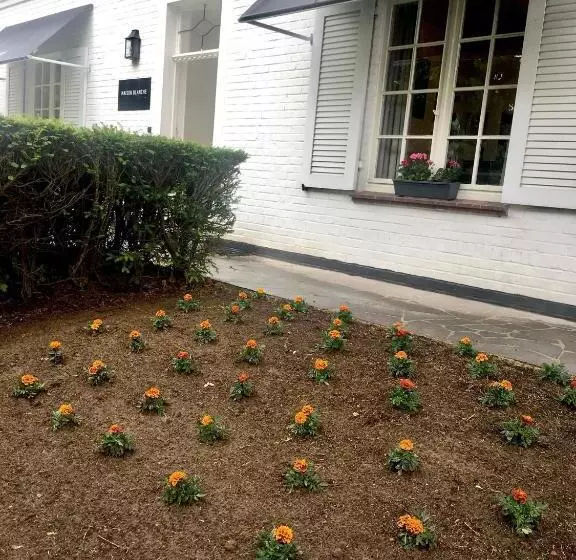 Aamiaismajoitus (B&B) Maison Blanche