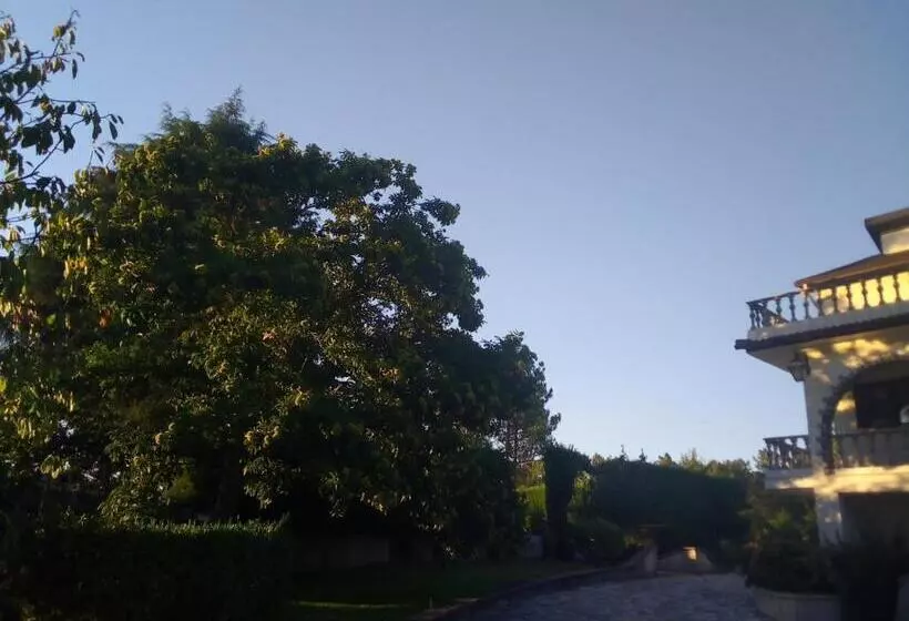 ホテル Pinheirinhos   Quinta De São Caetano