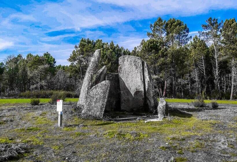 فندق Pinheirinhos Quinta De São Caetano