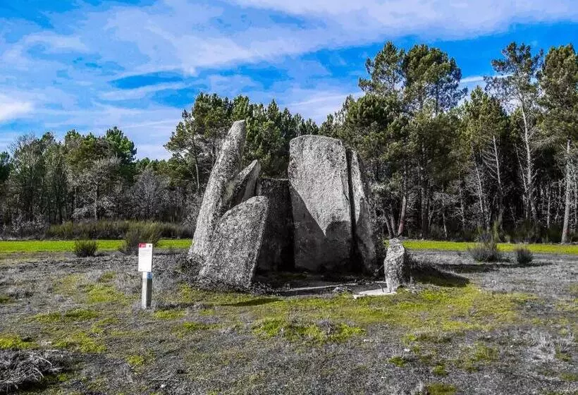 ホテル Pinheirinhos   Quinta De São Caetano