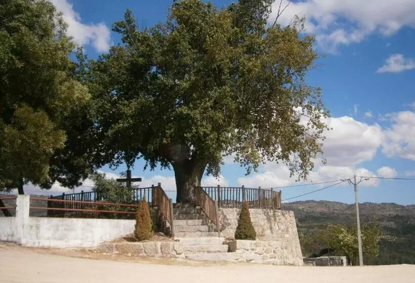 ホテル Pinheirinhos   Quinta De São Caetano