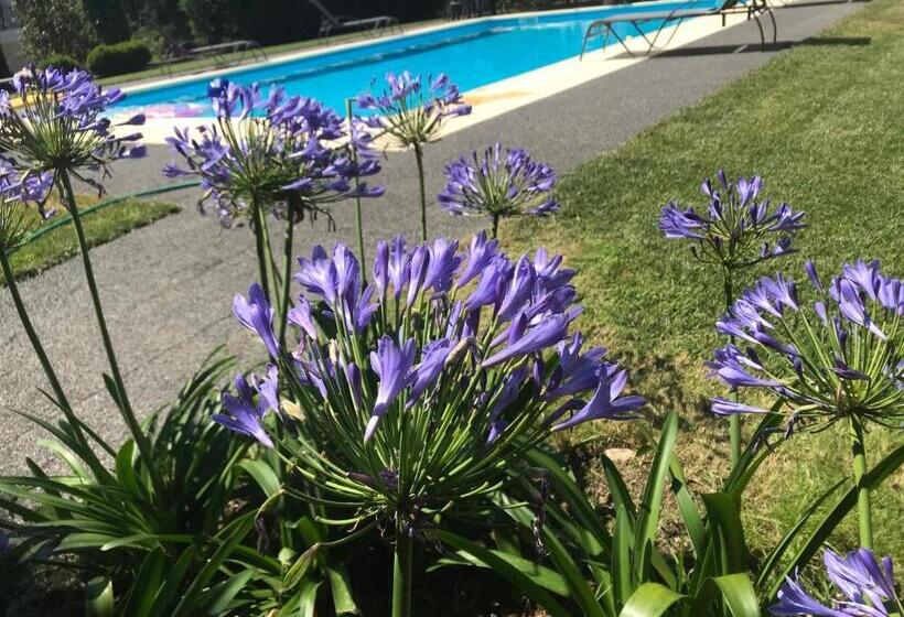 فندق Pinheirinhos Quinta De São Caetano