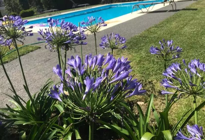 ホテル Pinheirinhos   Quinta De São Caetano