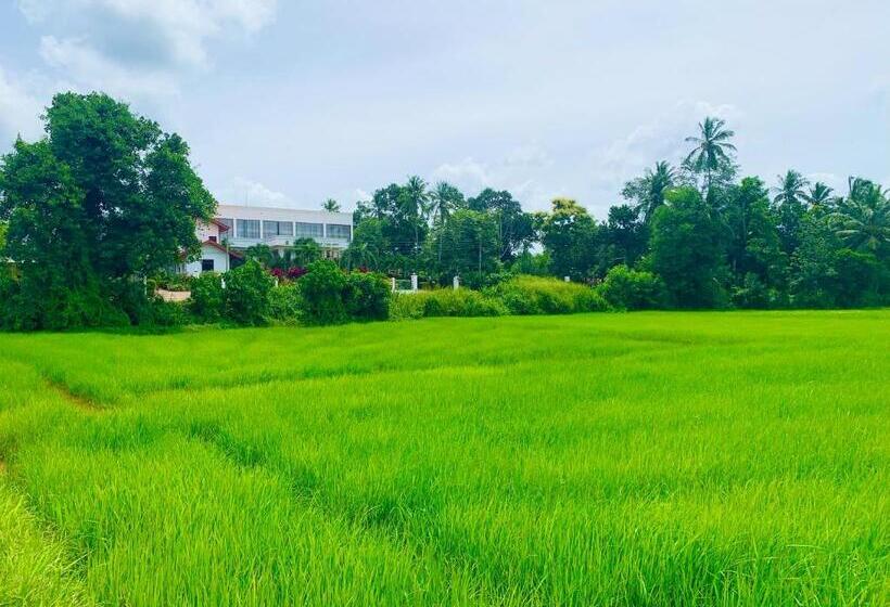 فندق Ruwanara Royal Majestry