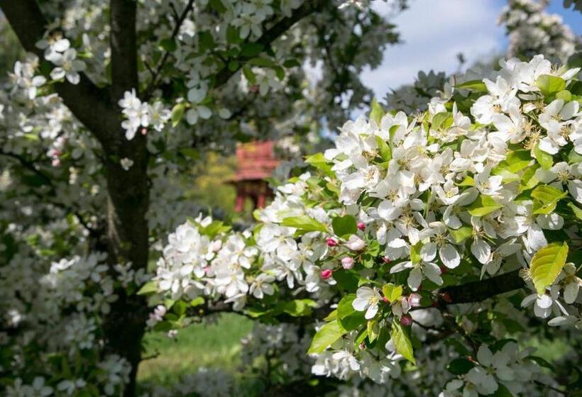 膳宿费 Gurudeva Bhavan