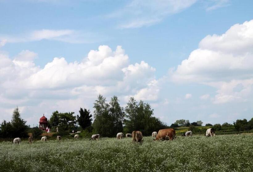 膳宿费 Gurudeva Bhavan