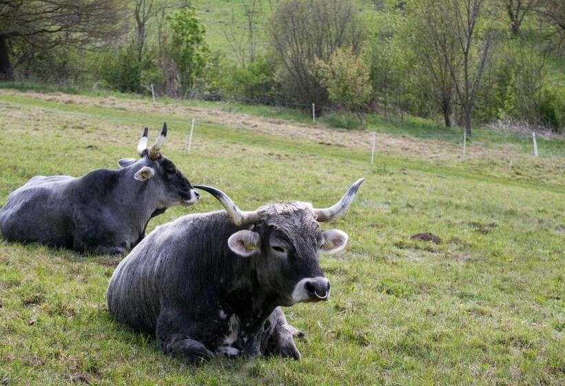 膳宿费 Gurudeva Bhavan