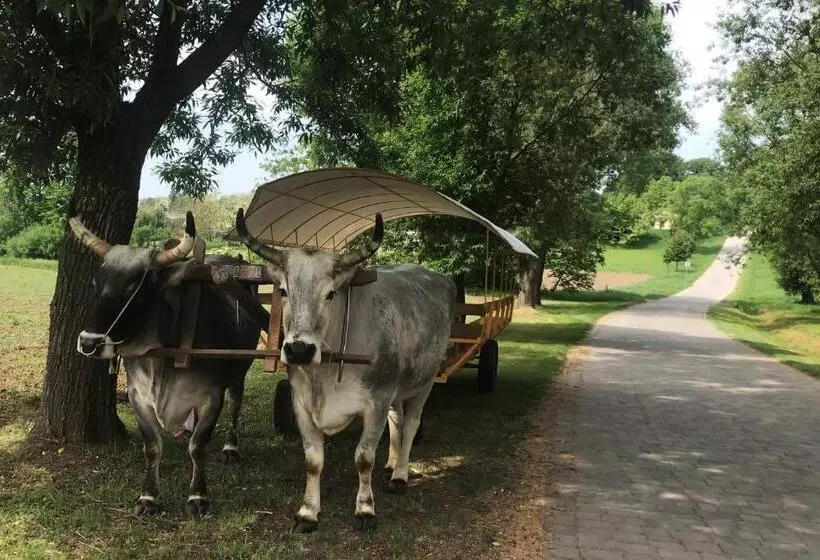 ペンション Gurudeva Bhavan