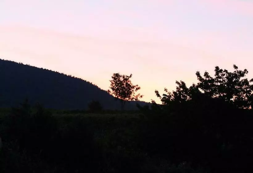 ペンション La Belle Alsacienne   Route Des Vins D Alsace
