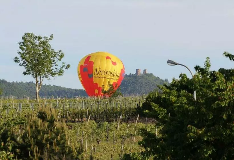 ペンション La Belle Alsacienne   Route Des Vins D Alsace