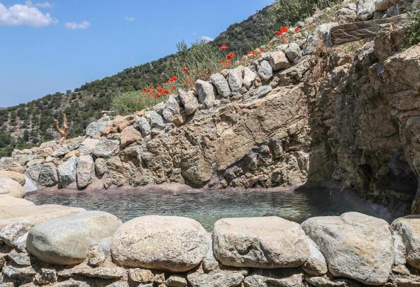 بنسيون Les Bergeries Le Figuier