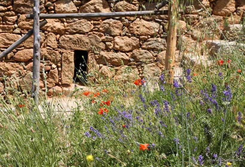 بنسيون Les Bergeries Le Figuier