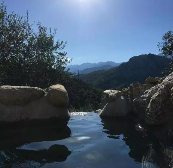 ペンション Les Bergeries Le Figuier