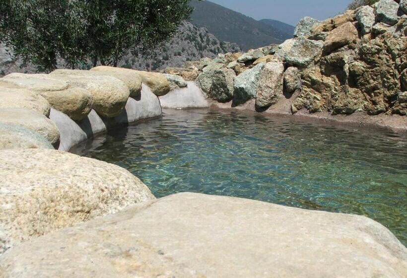 بنسيون Les Bergeries Le Figuier