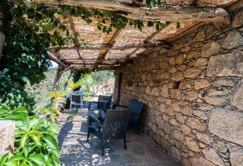 بنسيون Les Bergeries Le Figuier