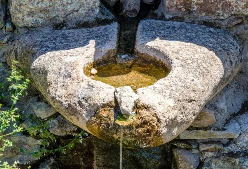 ペンション Les Bergeries Le Figuier