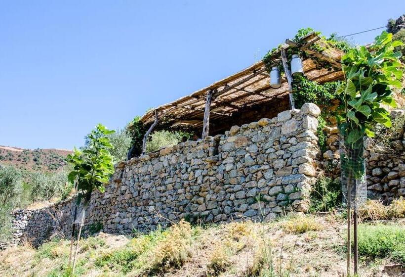 بنسيون Les Bergeries Le Figuier