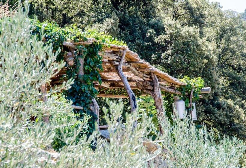 بنسيون Les Bergeries Le Figuier