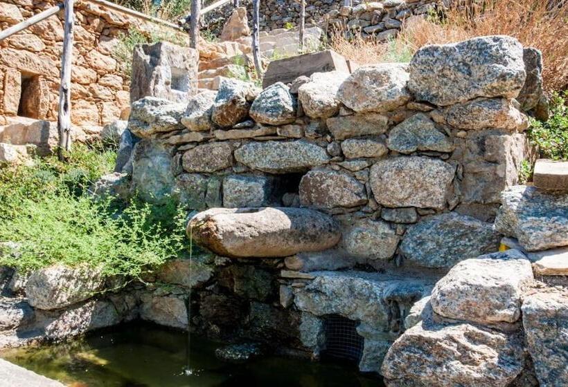 بنسيون Les Bergeries Le Figuier