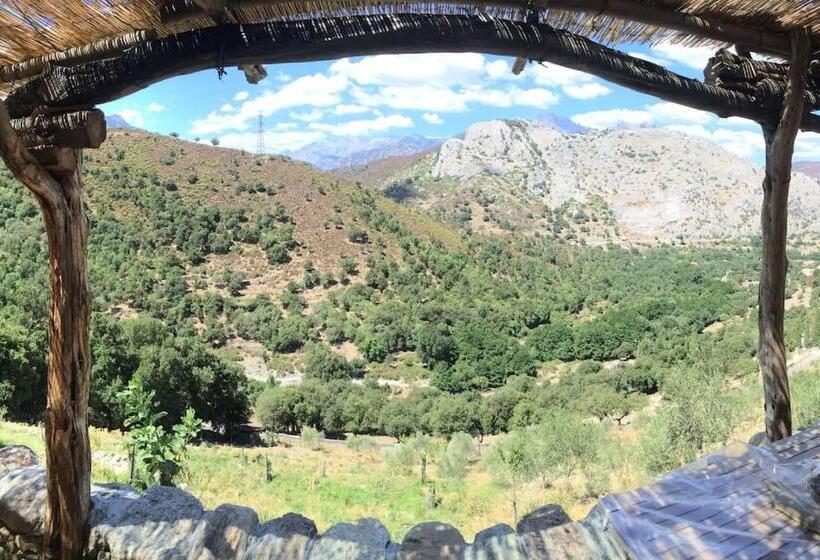 بنسيون Les Bergeries Le Figuier