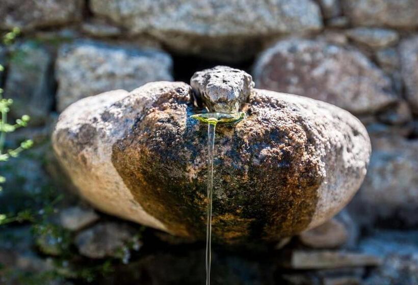 بنسيون Les Bergeries Le Figuier
