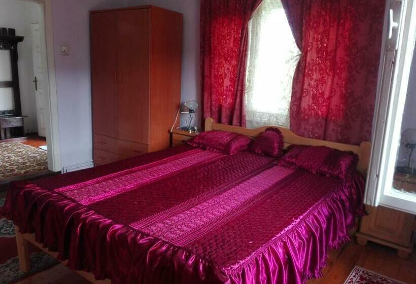 Pensiunea Fantana Rece