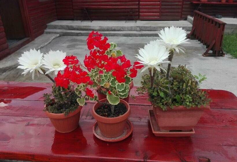 Pensiunea Fantana Rece