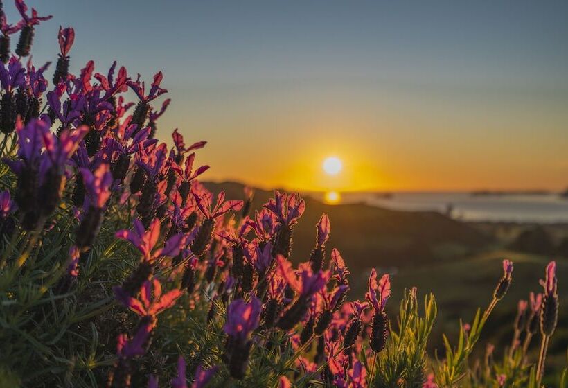 צימר Bayview Valley Lodge