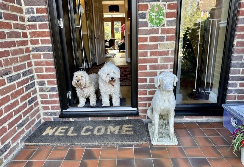 ベッドアンドブレックファースト Beechwood B And B