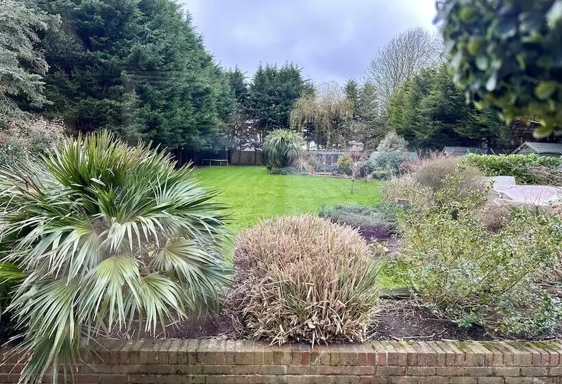 تختخواب و صبحانه Beechwood B And B