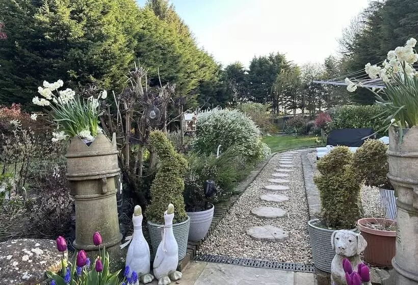 تختخواب و صبحانه Beechwood B And B