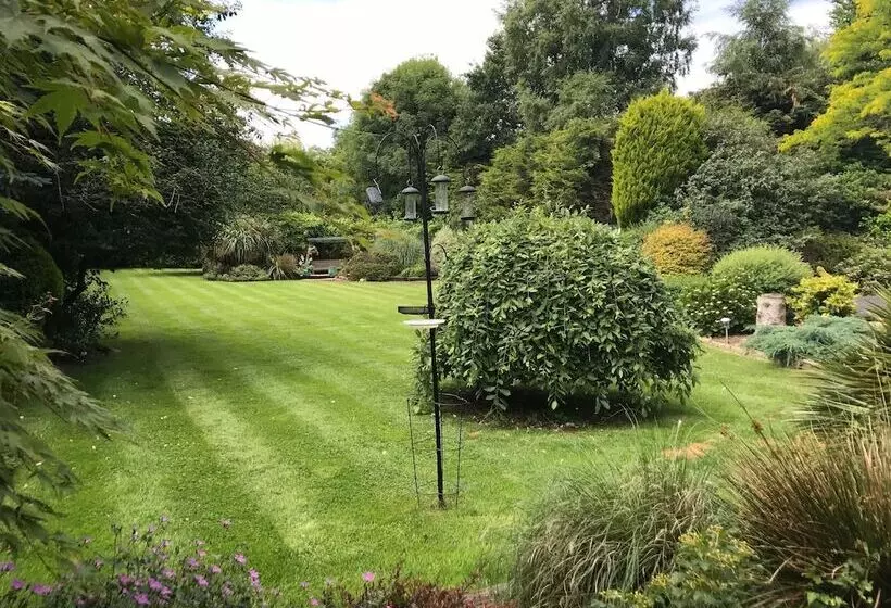 تختخواب و صبحانه Beechwood B And B