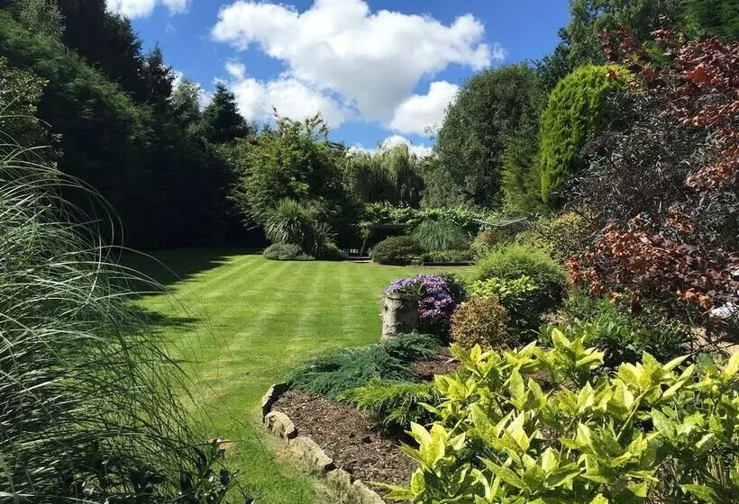 تختخواب و صبحانه Beechwood B And B