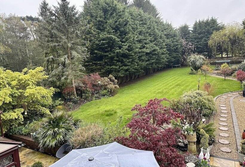 ベッドアンドブレックファースト Beechwood B And B